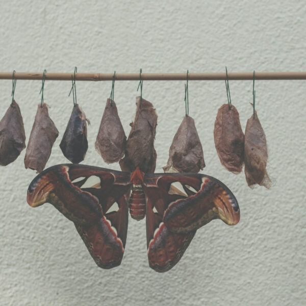 Understanding the Android Application Lifecycle Beyond the Basics