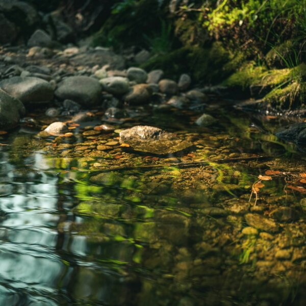 Lambda, Stream API & Optional in Java